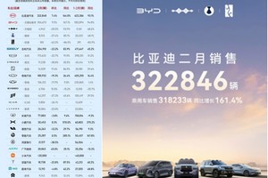 比亚迪2月稳坐销冠宝座：累计超32万辆，宋家族2月狂销12万辆