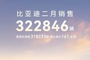 比亚迪2月稳坐销冠宝座：累计超32万辆，宋家族2月狂销12万辆