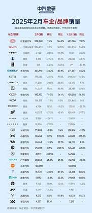 比亚迪：2月逆势上扬，多个细分市场 “销冠” 频出