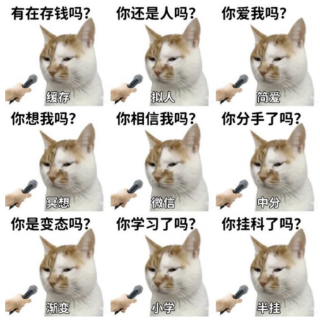 截屏2025-03-05 11.18.01