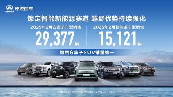 2月车企销量看点，比亚迪持续领跑，新能源势头强劲