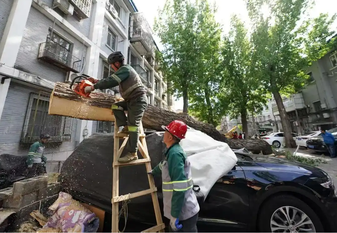 车辆在极端天气中被损坏，保险公司能否拒绝理赔？
