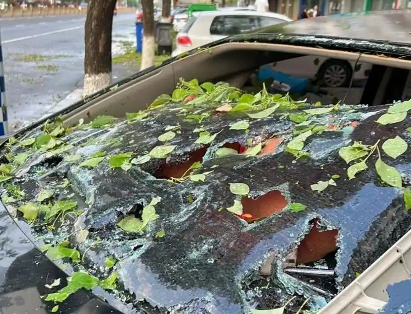 车辆在极端天气中被损坏，保险公司能否拒绝理赔？