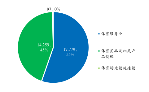 体育产业政策东风频吹，服饰、AI健身孕育潜在机会