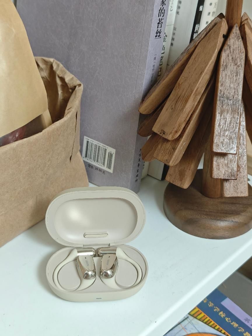 开放式耳机近些年来的发展势头很猛