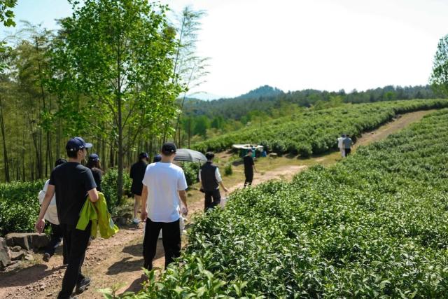 静谧雅致 逐心而愈 劳斯莱斯闪灵与健康生活的诗意共鸣
