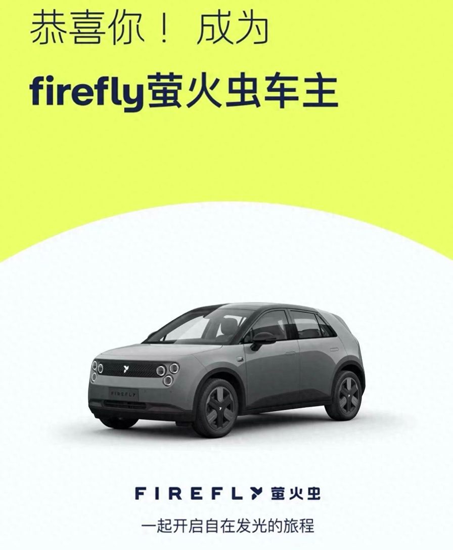 第一时间锁单蔚来萤火虫的12点总结