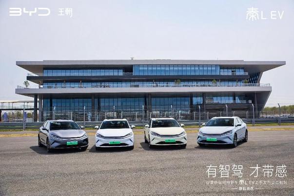 秦L EV智驾品鉴会合肥启幕：以硬核实力定义新能源出行新标杆