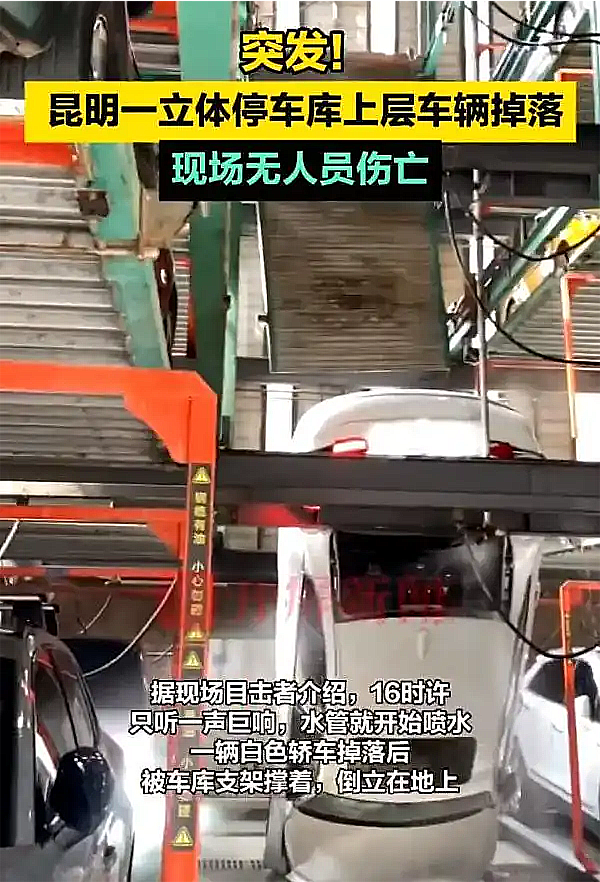 汽车从立体车库五层掉落，责任应当由哪一方来承担？
