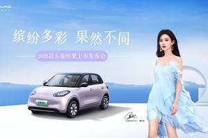 2025款五菱缤果上市. 一口价5.38万元起