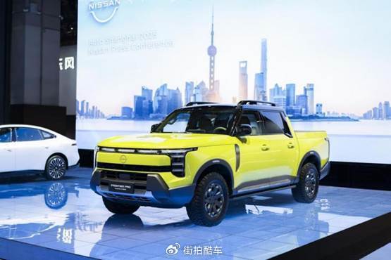 日产汽车：到后年夏季在中国市场投放10款新能源汽车