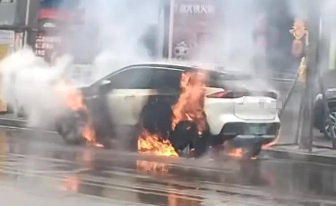 我们到底需要一辆什么样的新能源汽车