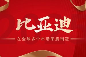 2025年一季度，比亚迪在全球多个市场荣膺销冠