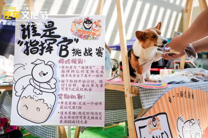 驱动创新 智境未来一一2025河北汽车文化节盛大启幕！