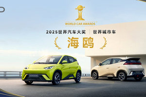 比亚迪摘得两项世界汽车大奖：世界城市车+世界汽车年度人物