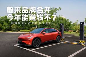 蔚来整合乐道、萤火虫：削藩瘦身，冲刺四季度盈利