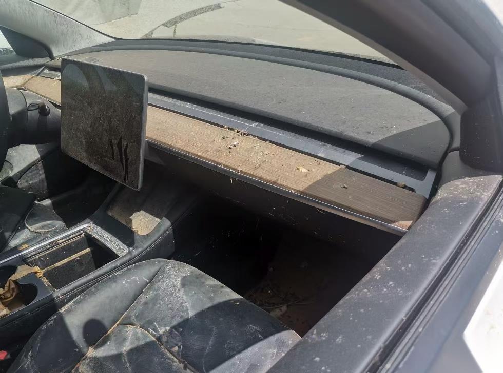到处都是10万块的二手Model 3，到底能不能买？这两个担忧没必要