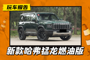 哈弗猛龙燃油版亮相，小方灯+直瀑中网，配2.0T+四驱+差速锁