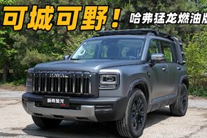 哈弗猛龙增燃油版！除了动力还有这些变化要了解