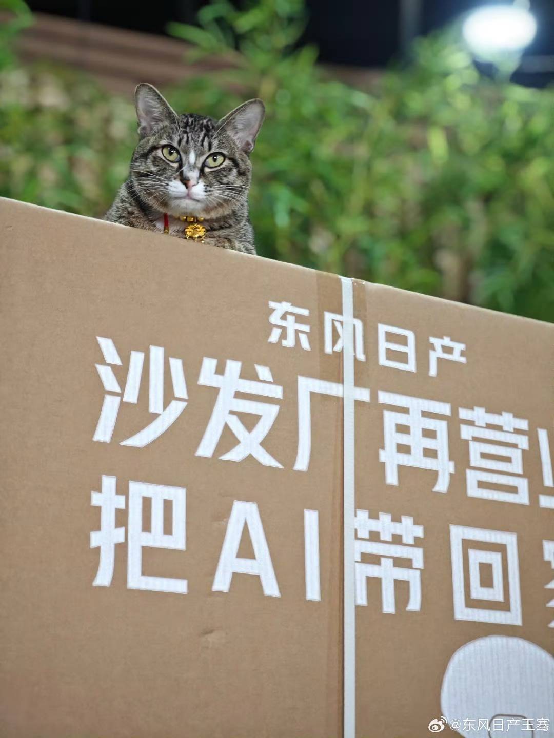 车辆开发工程师详解东风日产N7座舱设计：座椅就是破局之眼