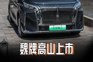 30.98万买车就是顶配，全新高山8上市