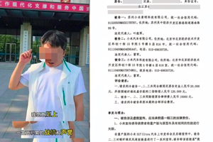 已立案！小米被诉，律师车主要求退一赔三！