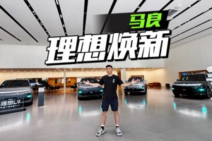 理想L系，谁更值得入手？