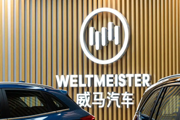 你以为凉透的威马高合，实际上都没倒闭，甚至还在“吸血”