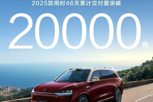 交付破2万台！问界M9打了多少人的脸