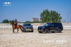 「豹力双车，燃擎石家庄」豹5 & 豹8媒体试驾会演绎全场景智驾新范式