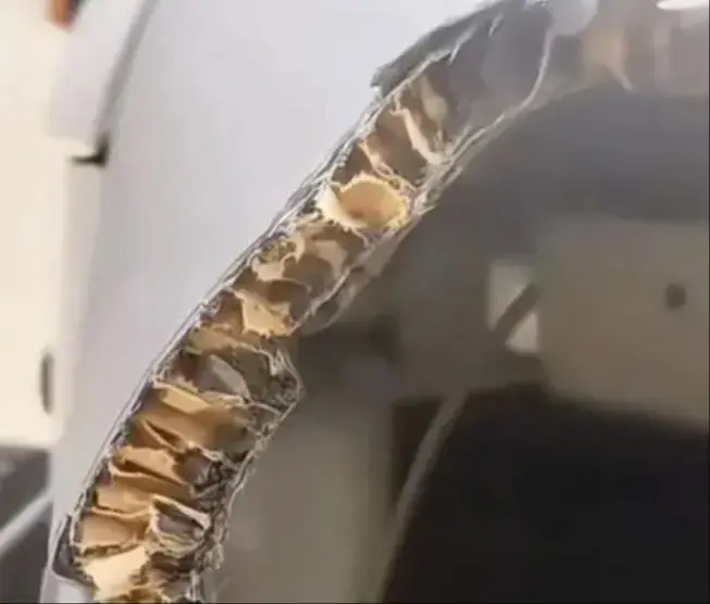 福特烈马被曝车顶用蜂窝纸填充？相关人士回应系增强纸蜂窝复合材料