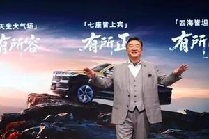 贾鸣镝重构渠道，林肯“轻装上阵”