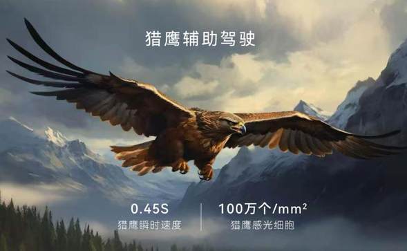 八大豪华标配三大核心优势 全新2025款星纪元ES纯电上市