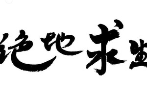 2025车展风向标：华为智驾+一口价，合资车的花式求生路