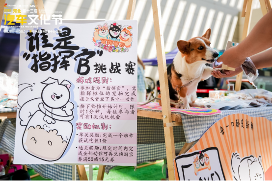 驱动创新 智境未来——2025河北汽车文化节盛大启幕！