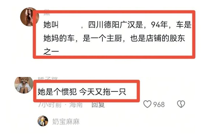 宝马女司机驾车拖行小猫致死事件已有定论：警方称未发现虐猫行为