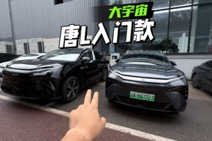 唐L入门款实拍