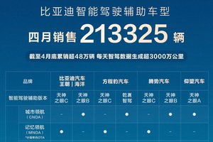 比亚迪领跑 4 月智驾车型销量榜，全民智驾战略成效显著