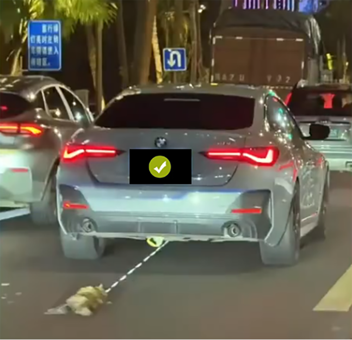 海口警方通报宝马汽车拖行小猫事件后续：三人造谣生事被依法行拘