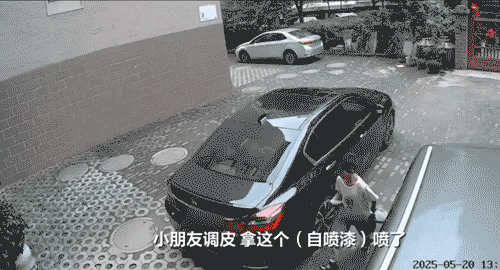 “熊孩子”用自喷漆将多辆车的车牌喷黑，民警：家长承担损失赔偿