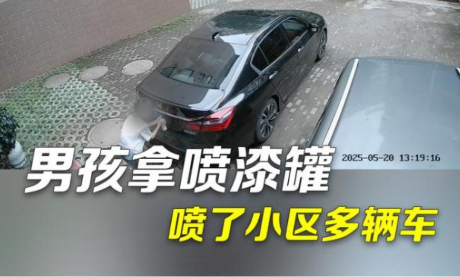 “熊孩子”用自喷漆将多辆车的车牌喷黑，民警：家长承担损失赔偿