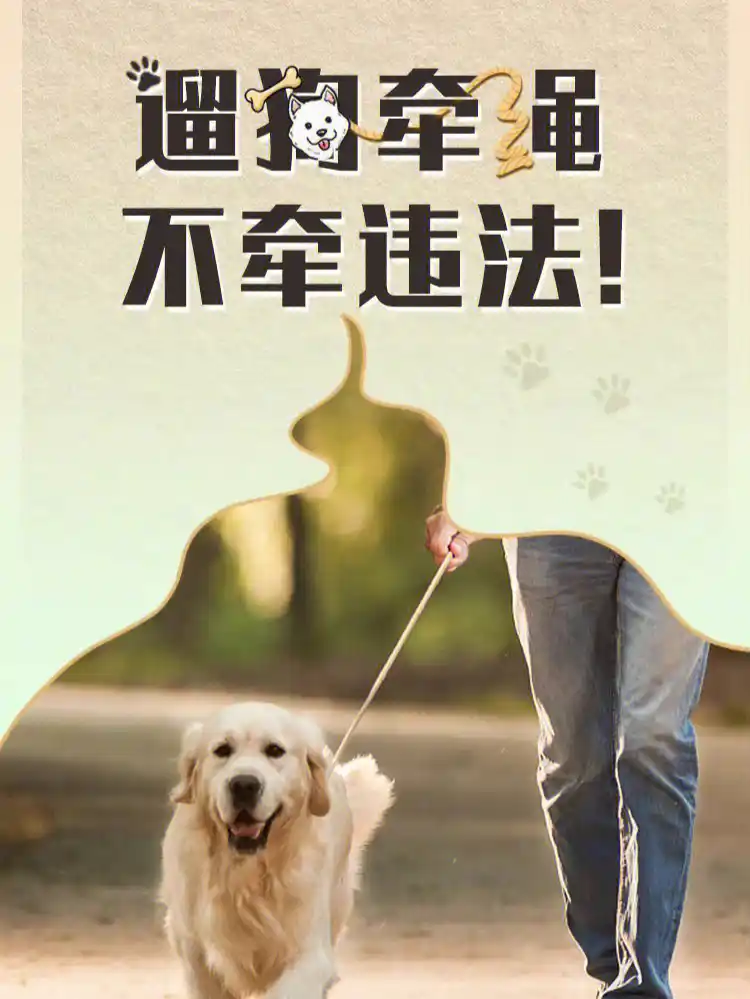 多地出现狗拉扭扭车带人上路疾驰！该行为存在很大隐患且违法违规