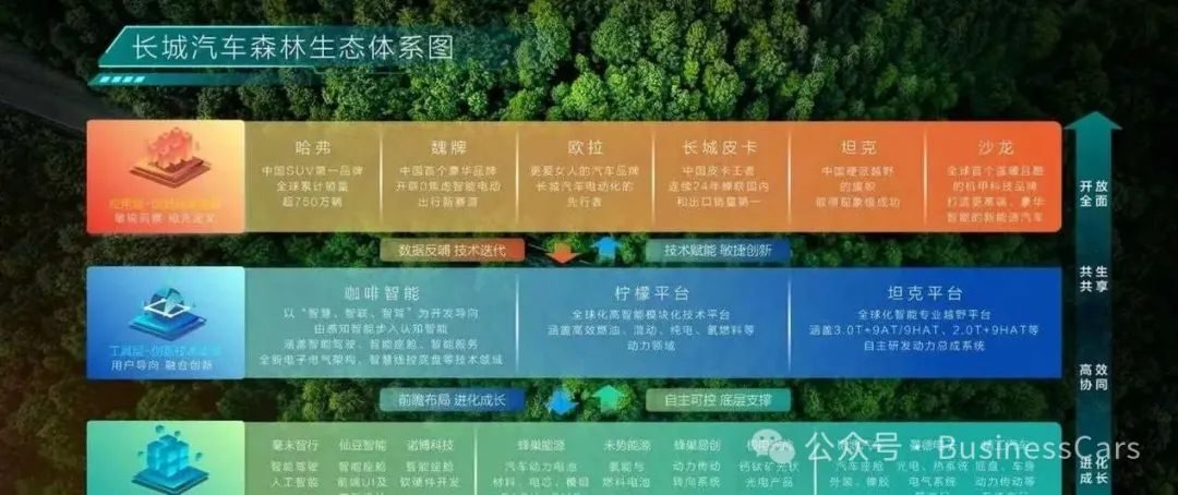 人间清醒魏建军