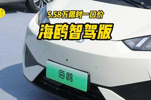 5.58万限时一口价，海鸥智驾版超值神价格