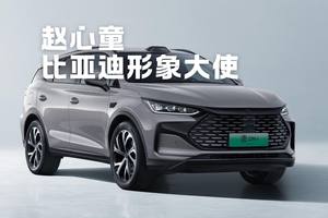 冠军精神共鸣：比亚迪与赵心童的双向奔赴