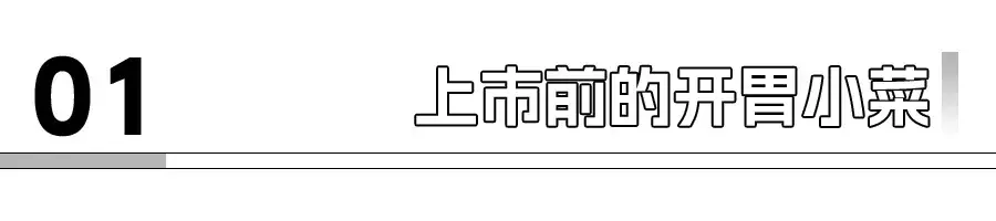 小米YU7来了，打的不是Model Y？