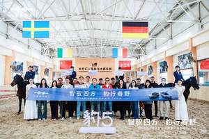 “豹”力集结 驭见沈阳｜方程豹豹5 & 豹8媒体试驾会澎湃开启，双车共绘智驾全景图谱