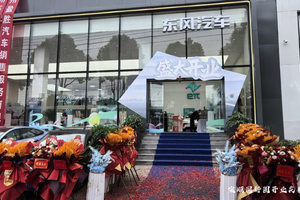 东风奕派安顺同新圆体验中心盛大开业