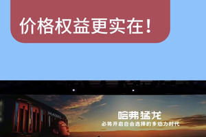 “猛龙”来得猛 价格权益更实在！