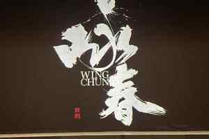 比亚迪携手《咏春》舞台剧，助力中华文化走向世界